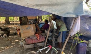 Pasca Rumah Dibongkar, Warga Besipae Masih Bertahan Tinggal Dibawah Terpal