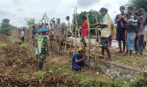 Babinsa Kodim 1621/TTS Dan Warga Gotong Royong Bangun Pagar Kebun Desa.