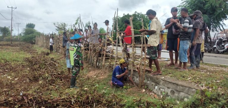 Babinsa Kodim 1621/TTS Dan Warga Gotong Royong Bangun Pagar Kebun Desa.