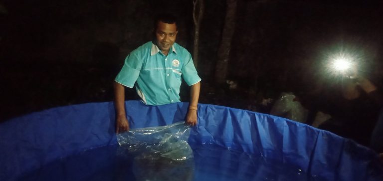 Dinas Perikanan Mulai Lakukan Penebaran Benih Ikan Lele Bagi 29 Kelompok di TTS