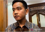 Peneliti: Putusan MK buka peluang Gibran dampingi Prabowo di pilpres