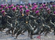 Hasto: TNI patriot NKRI – ANTARA News