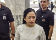 Puan bertemu Ganjar bahas hasil pertemuan makan siang dengan Jokowi