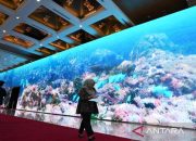 Animasi ekosistem laut sambut KTT AIS Forum 2023 di Bali