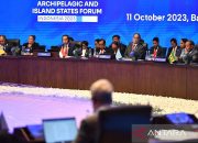 Jokowi: Negara pulau dan kepulauan paling rentan perubahan iklim