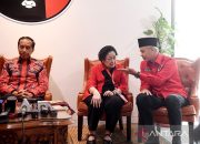 Hasto tepis isu Megawati dan Jokowi tak jalin komunikasi