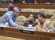 Pemerintah setujui revisi syarat capres-cawapres sesuai putusan MK