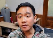 Gibran sebut pernyataan Puan jelas terkait keanggotaannya di PDIP