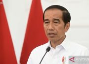 Jokowi belum tunjuk Mentan definitif pengganti SYL