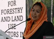 Yenny Wahid dorong pemerintah evakuasi WNI di Gaza 