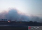 Kejati Sumsel tangani 29 kasus karhutla perorangan dan korporasi