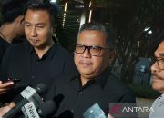 Hasto: PDIP beri Bobby karpet merah maju Pilwakot Medan 2020