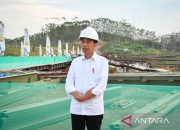Presiden tinjau pembangunan Sumbu Kebangsaan IKN