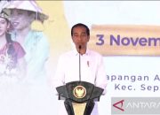 Presiden minta masyarakat dari beragam etnis hidup harmonis di IKN