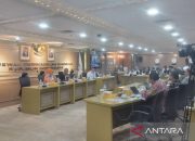 Komite I DPD dukung pemerintah selesaikan konflik di Palestina 