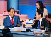 Kemarin, tes CASN hingga presiden hadiri pertemuan di KTT APEC