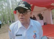 Pj Bupati Penajam-Kaltim: pembangunan Kota Nusantara sesuai jadwal