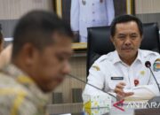 Kepala BSKDN: Pemerintah kabupaten perlu kembangkan potensi lokal