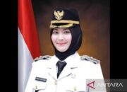 Bangka Selatan usulkan Perda gedung berornamen budaya daerah