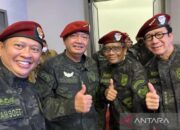 MPR dukung upaya Panglima TNI tindak tegas OPM 