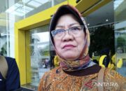 BRIN: Pemanggilan Megawati ke MK harus ada relevansinya