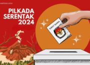 Pengamat sebut penyelenggara Pilkada 2024 harus antisipasi polarisasi