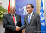 Bertemu wakil PBB, Jokowi dorong penyelesaian konflik Palestina