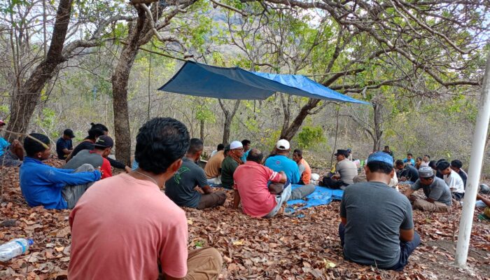 Memperkaya Diri Sendiri Tua Golo Abdul Majid Di Duga Gelapkan Tanah Adat