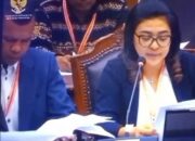 Dalam Sidang Di Makamah Konstitusi Bawaslu Kabupeten Belu Mengatakan Bahwa ” Vincente” Calon Bupati Belu Tidak Memenuhi Syarat