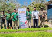GP Ansor Se-NTT Tanam Serentak untuk Ketahanan Pangan, Peringati HUT RI ke-80 dan Menyambut Inaugurasi Pelantikan