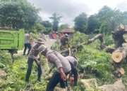 Aksi Cepat Brimob Polda NTT Buka Akses Jalan Warga Rote Ndao yang Tertutup Pohon Tumbang