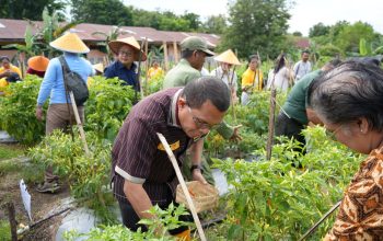 Hadiri Panen Perdana Cabai di SMAN 1 Kupang Timur, Gubernur Melki : Ini Harus Jadi Contoh Untuk Sekolah Lain